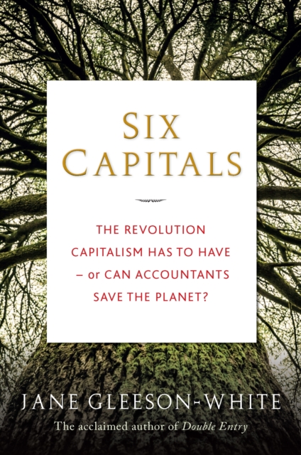Six Capitals : The Revolution Capitalism Has to Have - or Can Accountants Save the Planet?, Hardback Book