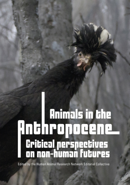 Animals in the Anthropocene : Critical Perspectives on Non-Human Futures, Paperback / softback Book
