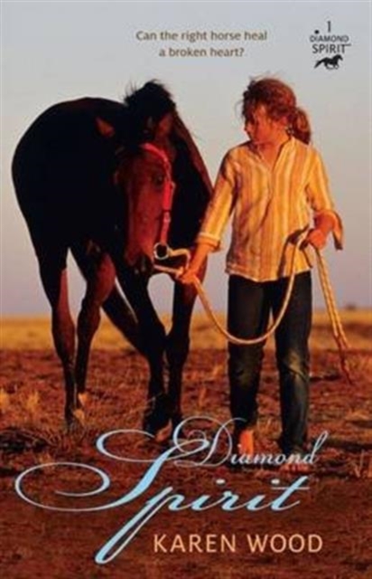 Diamond Spirit : 1, Paperback / softback Book