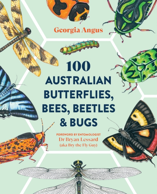 100 Australian Butterflies, Bees, Beetles & Bugs, EPUB eBook