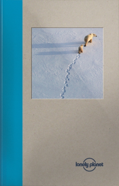 Lonely Planet Small Notebook - Polar Bear, Notebook / blank book Book