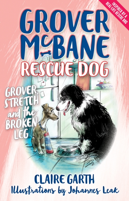 Grover, Stretch and the Broken Leg : Grover McBane, Rescue Dog, EPUB eBook