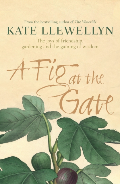 A Fig at the Gate : The Joys of Friendship, Gardening and the Gaining of Wisdom, Paperback / softback Book