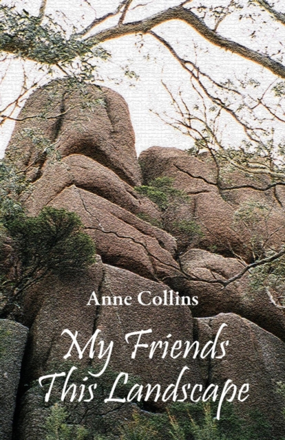 My Friends This Landscape, EPUB eBook