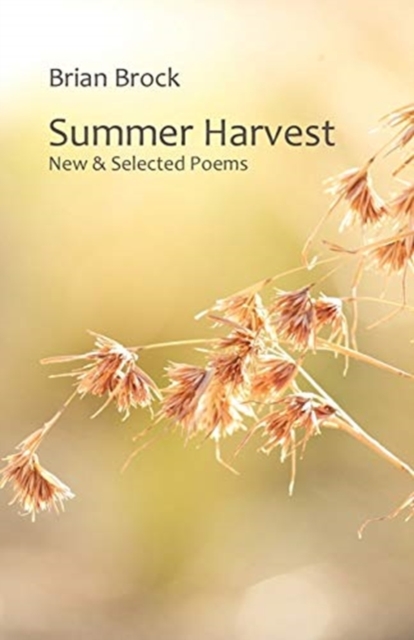 Summer Harvest : New & Selected Poems, Paperback / softback Book