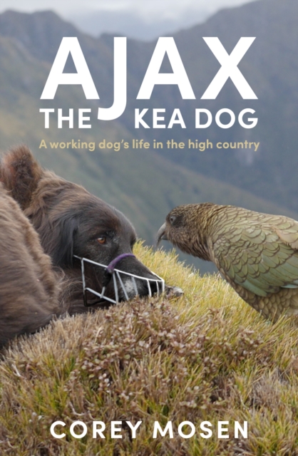 Ajax the Kea Dog : A working dog's life in the high country, Paperback / softback Book