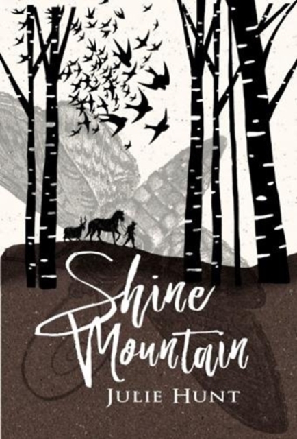 Shine Mountain, Paperback / softback Book