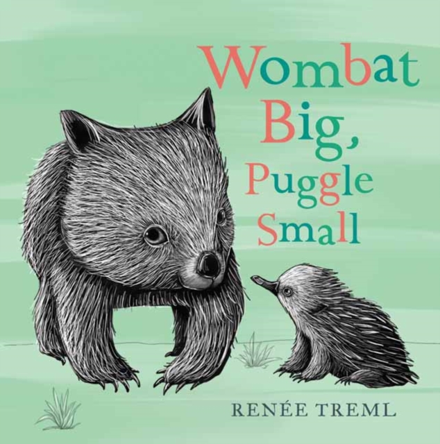 Wombat Big, Puggle Small, Board book Book