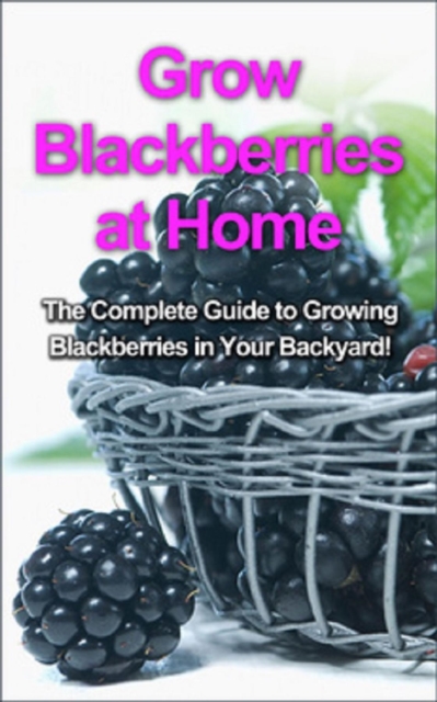 Grow Blackberries at Home : The complete guide to growing blackberries in your backyard!, EPUB eBook