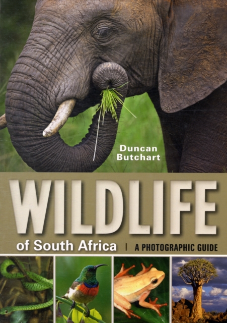 Wildlife of South Africa : A Photographic Guide, Paperback / softback Book