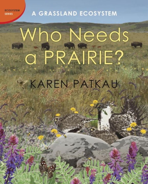 Who Needs A Prairie? : A Grassland Ecosystem, Hardback Book