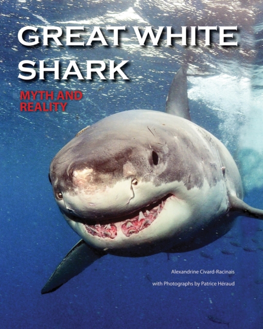 Great White Shark : Myth and Reality, Hardback Book