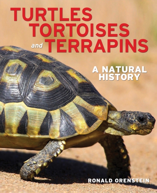 Turtles, Tortoises and Terrapins: A Natural History, Hardback Book