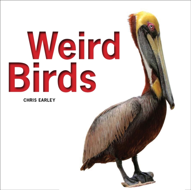 Weird Birds, Paperback / softback Book