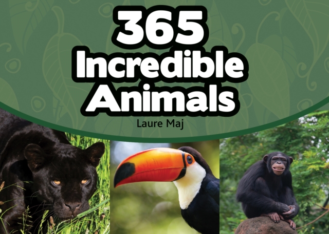 365 Incredible Animals, Paperback / softback Book