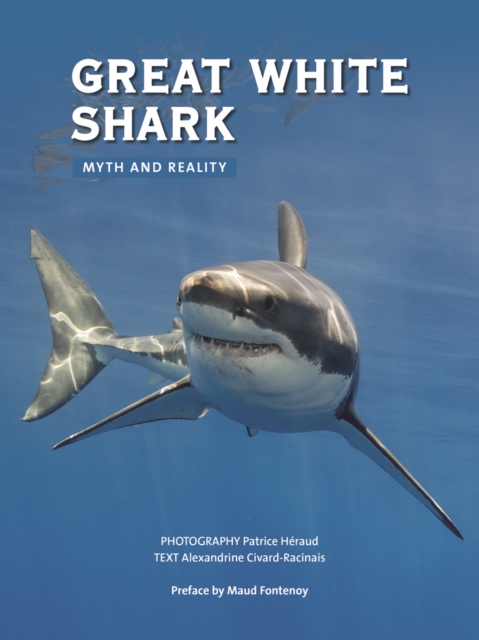 Great White Shark: Myth and Reality, Paperback / softback Book