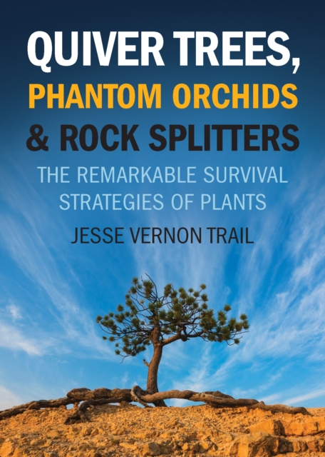 Quiver Trees, Phantom Orchids & Rock Splitters : The Remarkable Survival Strategies of Plants, EPUB eBook