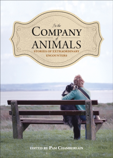In the Company of Animals : Stories of Extraordinary Encounters, EPUB eBook