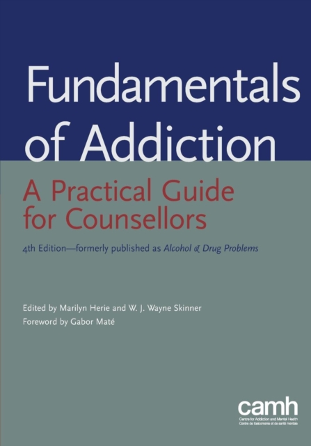 Fundamentals of Addiction : A Practical Guide for Counsellors, Paperback / softback Book