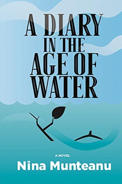 A Diary in the Age of Water, Paperback / softback Book
