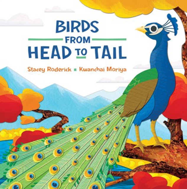 Birds From Head To Tail, Hardback Book