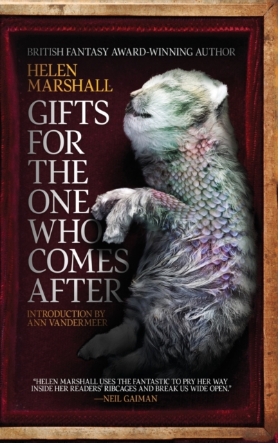 Gifts for the One Who Comes After, Hardback Book