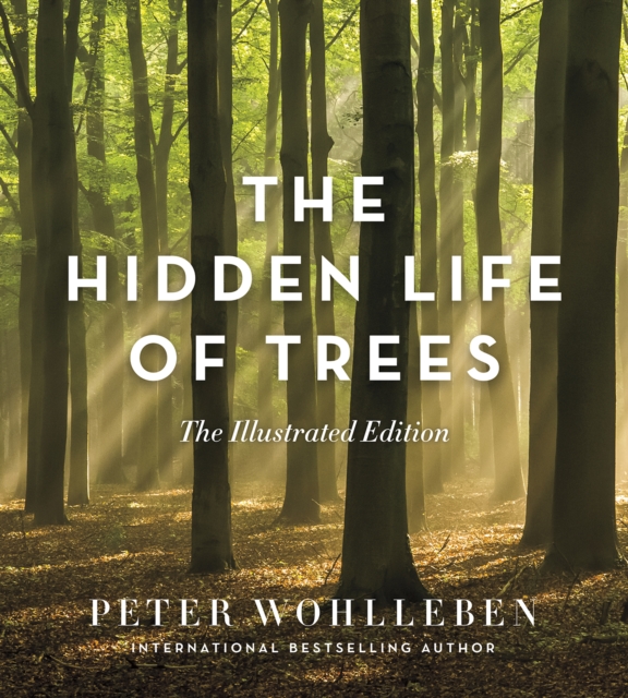 The Hidden Life of Trees : The Illustrated Edition, Hardback Book