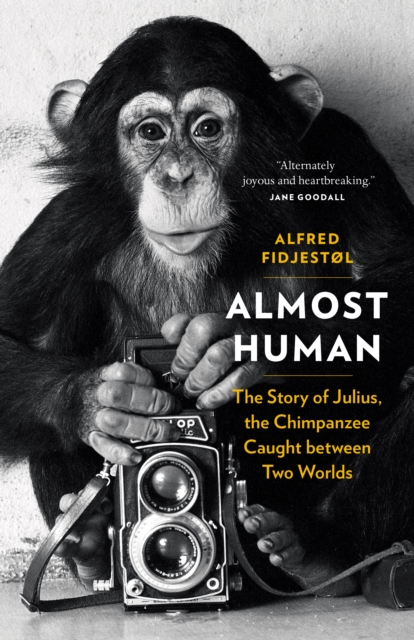 Almost Human : The Story of Julius, the Chimpanzee Caught between Two Worlds, EPUB eBook