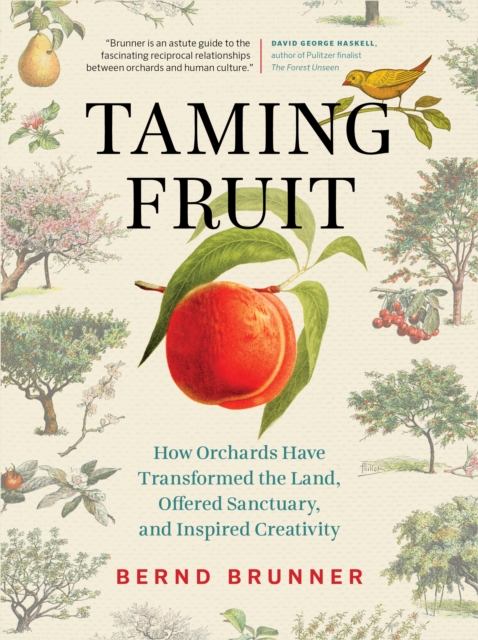 Taming Fruit : How Orchards Have Transformed the Land, Offered Sanctuary and Inspired Creativity, EPUB eBook