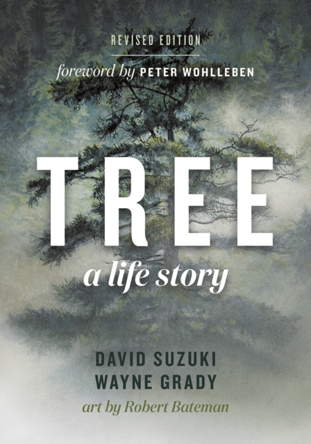 Tree : A Life Story, Paperback / softback Book