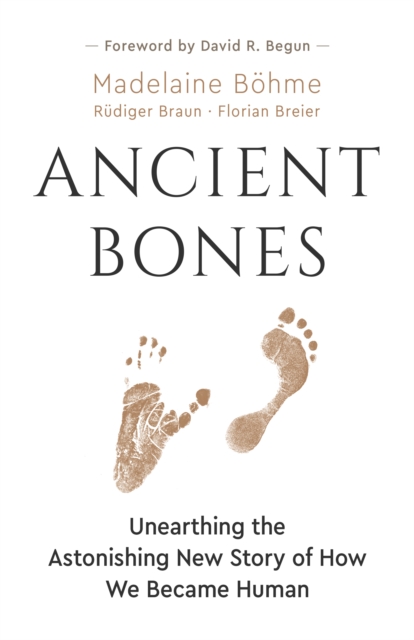 Ancient Bones : Unearthing the Astonishing New Story of How We Became Human, EPUB eBook