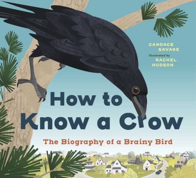How to Know a Crow : The Biography of a Brainy Bird, Hardback Book