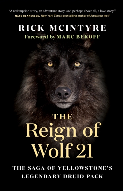 The Reign of Wolf 21 : The Saga of Yellowstone's Legendary Druid Pack, Paperback / softback Book