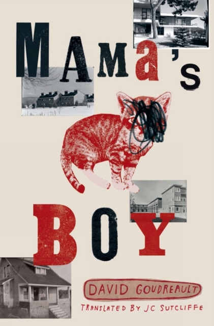 Mama's Boy, Paperback / softback Book