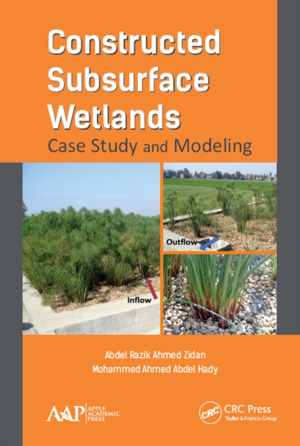Constructed Subsurface Wetlands : Case Study and Modeling, PDF eBook