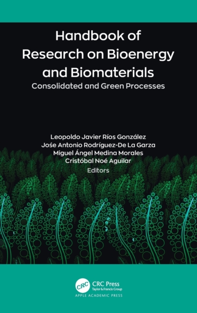 Handbook of Research on Bioenergy and Biomaterials : Consolidated and Green Processes, Hardback Book