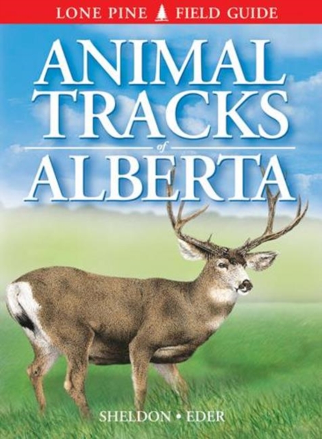 Animal Tracks of Alberta, Paperback / softback Book