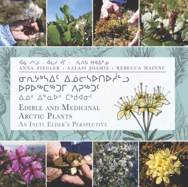 Edible and Medicinal Arctic Plants : An Inuit Elder's Perspective, Paperback / softback Book