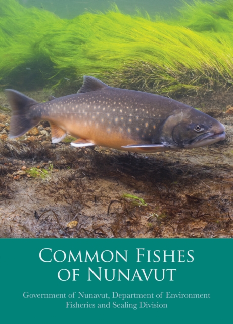 Common Fishes of Nunavut, Paperback / softback Book