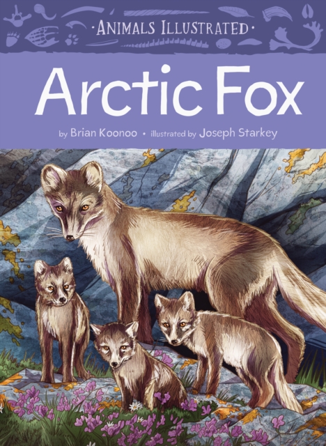 Animals Illustrated: Arctic Fox, Hardback Book