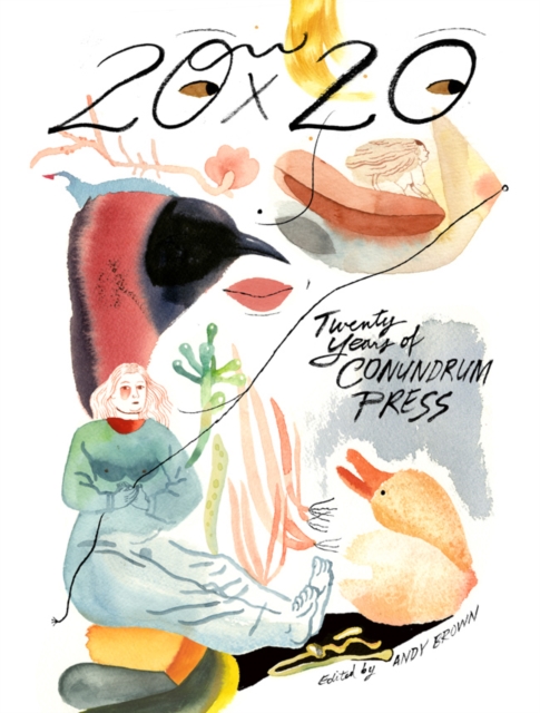 20x20 : Twenty Years of Conundrum Press, Paperback / softback Book