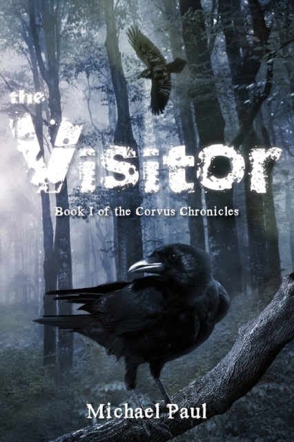 The Visitor, Paperback / softback Book