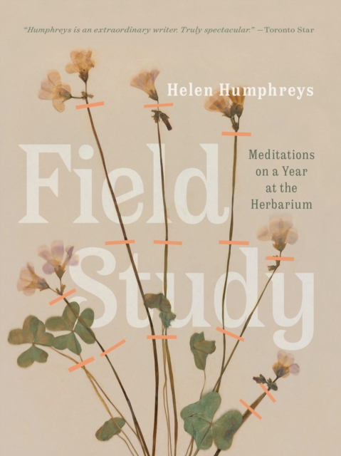 Field Study : Meditations on a Year at the Herbarium, PDF eBook