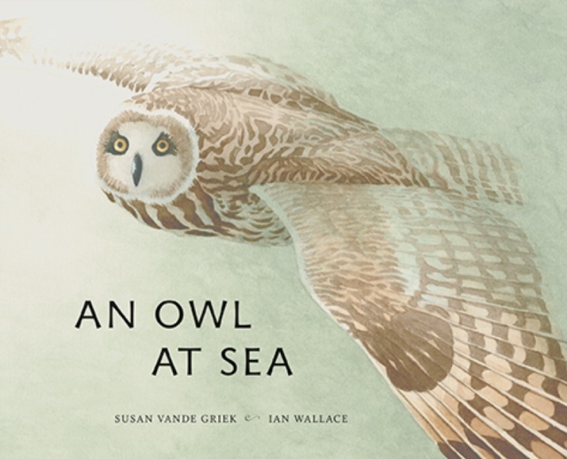 An Owlat Sea, Hardback Book