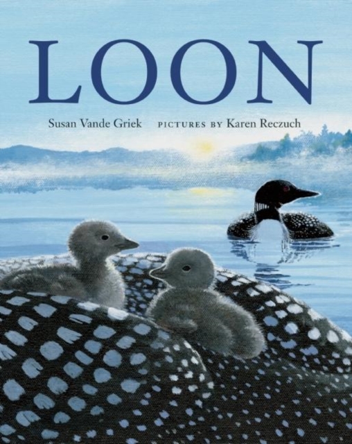 Loon, Paperback / softback Book