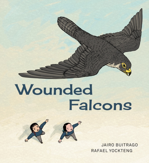 Wounded Falcons, Hardback Book