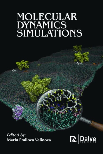 Molecular Dynamics Simulations, Hardback Book