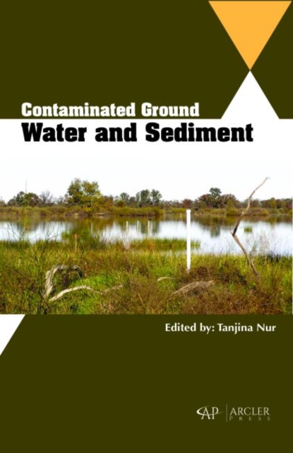 Contaminated Ground Water and Sediment, Hardback Book