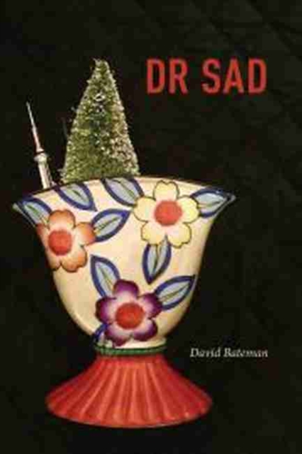 DR SAD, Paperback / softback Book