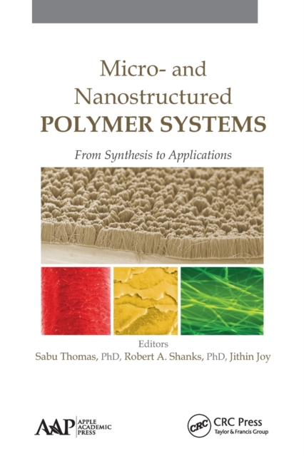 Micro- and Nanostructured Polymer Systems : From Synthesis to Applications, Paperback / softback Book